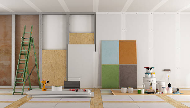 Best Emergency Mold Remediation  in Lowell, IN